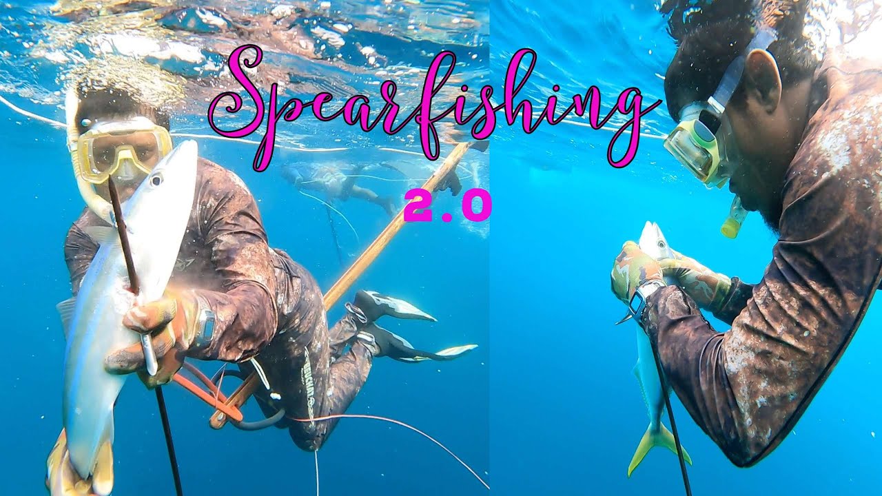 Spear gun fishing and Under water beauty