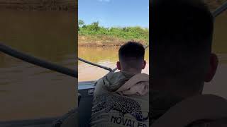 Drawing Jaguars in the Wild?!