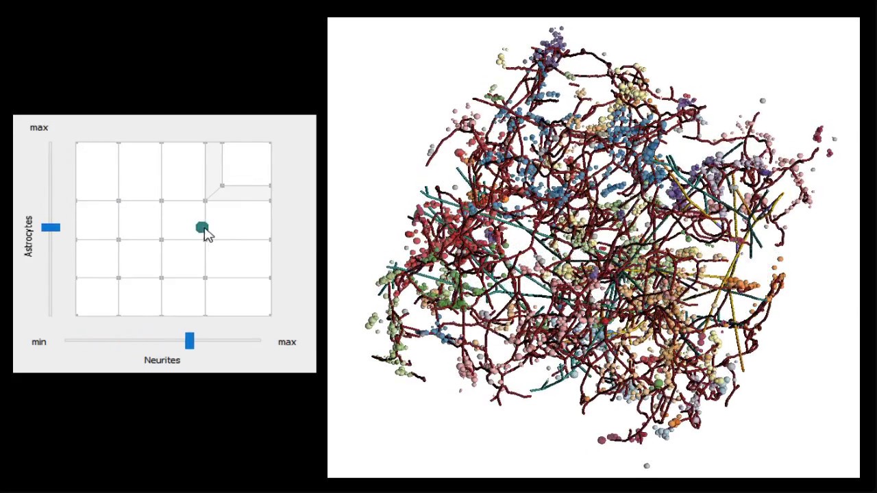 FastForward: Abstractocyte