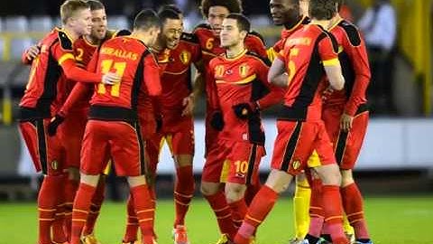 Random supporter op het veld Belgie - VS commentaar