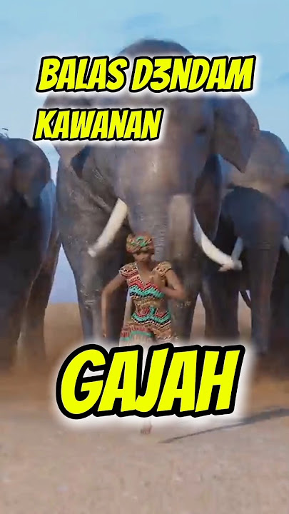 Inilah Alasan Jangan Pernah Menyakiti Gajah! 😇