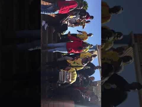 TUT sasco