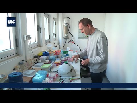 Vidéo: Traitement Du Cancer En Israël