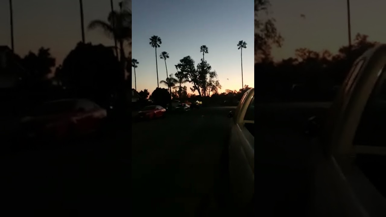 100 shot rapid fire 500 gram salute cake