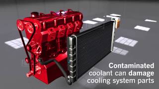Animation on How Vehicle Cooling Systems Work