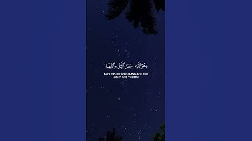 تلاوة خاشعة من سورة الفرقان | تأملات في عظمة الخلق وصفات عباد الرحمن #quran #القرآن_الكريم #القرآن