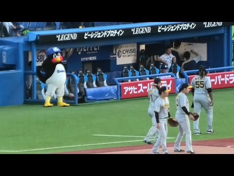 つば九郎、ミエセスにスルーされるw 2023/5/24