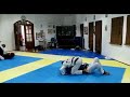 Jujitsu - Nage Waza #1