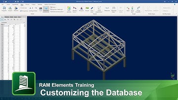 Customizing the Databases in RAM Elements