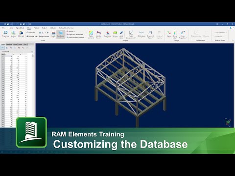 Customizing the Databases in RAM Elements