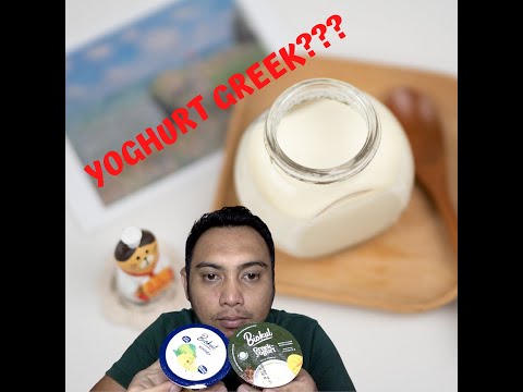 YOGHURT GREEK VS YOGHURT BIASA ??? (POJOK SAINS) #yoghurt #yoghurtgreek #abdithalib #pojoksains