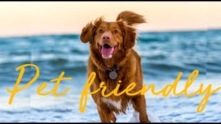 Pawsitively Perfect Getaway: Unleashing Fun in Our Pet-Friendly Rental!