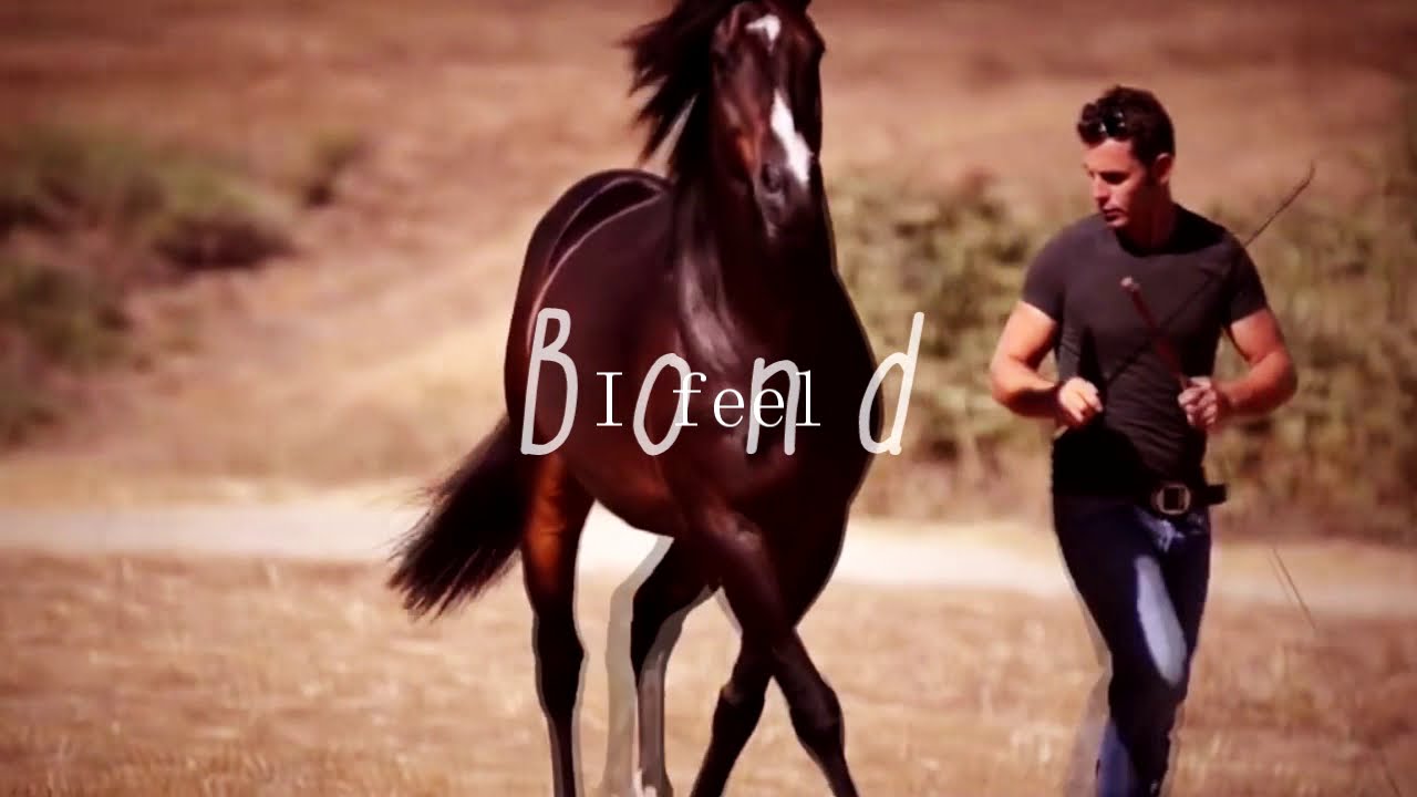 .what horses give us. YouTube