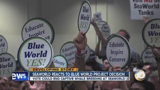 Vote ends captive whale breeding at Seaworld San Diego