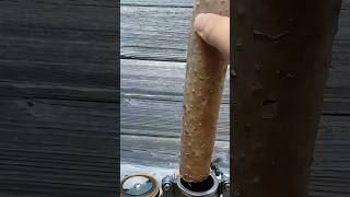 This Weird Experiment Actually Worked