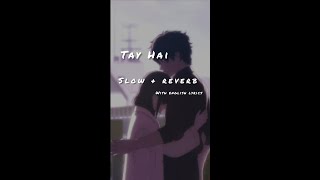 Tay hai [slow reverb] with english lyrics