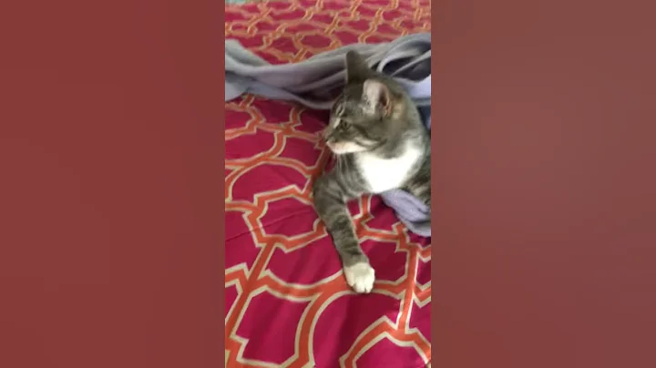 No No No