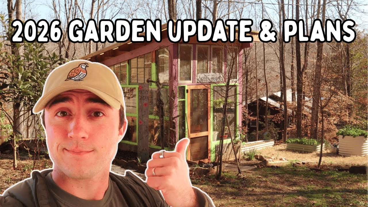 My Plans For The 2026 Garden w/Updates