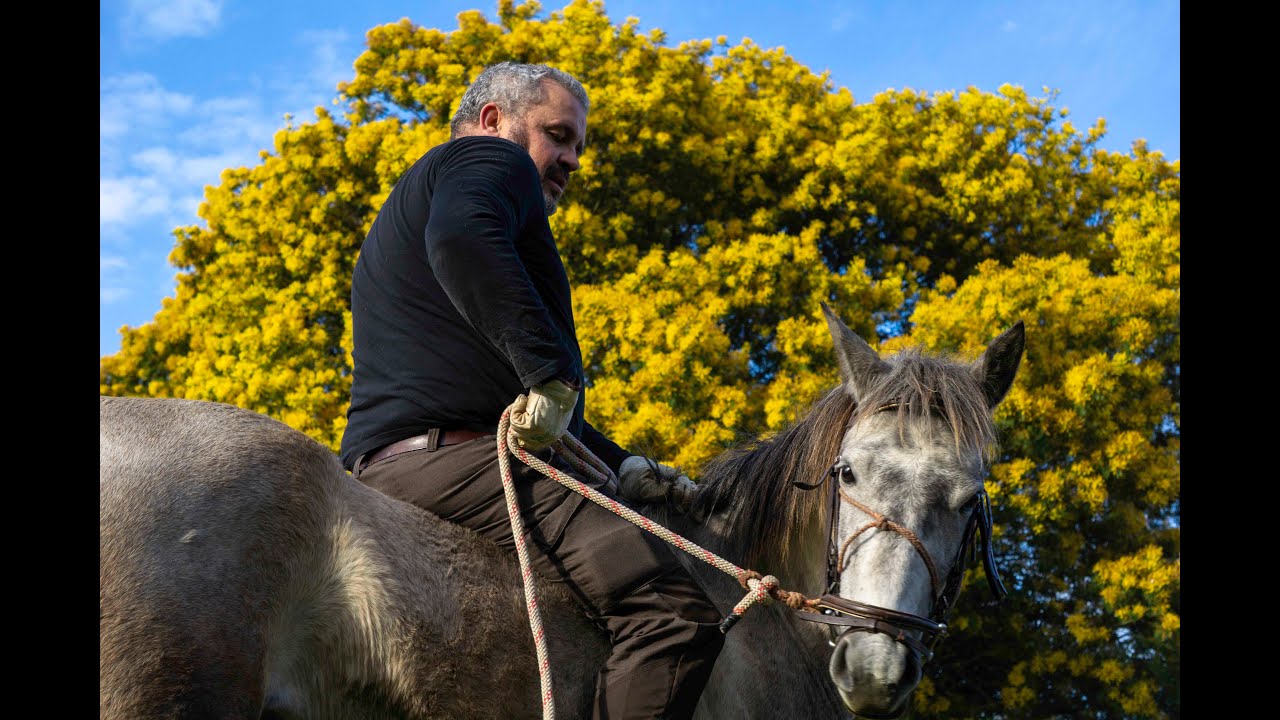 Doma Natural con Nacho Jiménez