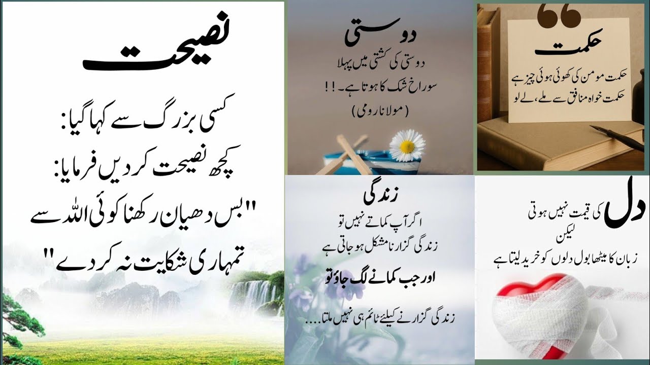 Aqwal e zareen in Urdu || Golden words in Urdu || Best Islamic advice about life