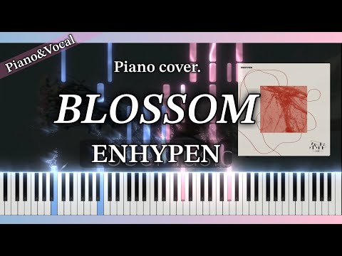BLOSSOM (ピアノソロ /Piano solo) - ENHYPEN