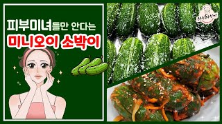 무르지 않고 아삭한! 미니오이 소박이 김치 비법! #미니오이소박이담는법 #오이소박이 #오이김치