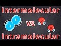 Understanding Inter and Intramolecular Forces