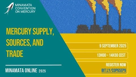 Mercury supply sources and trade (COP-6 Preparation)
