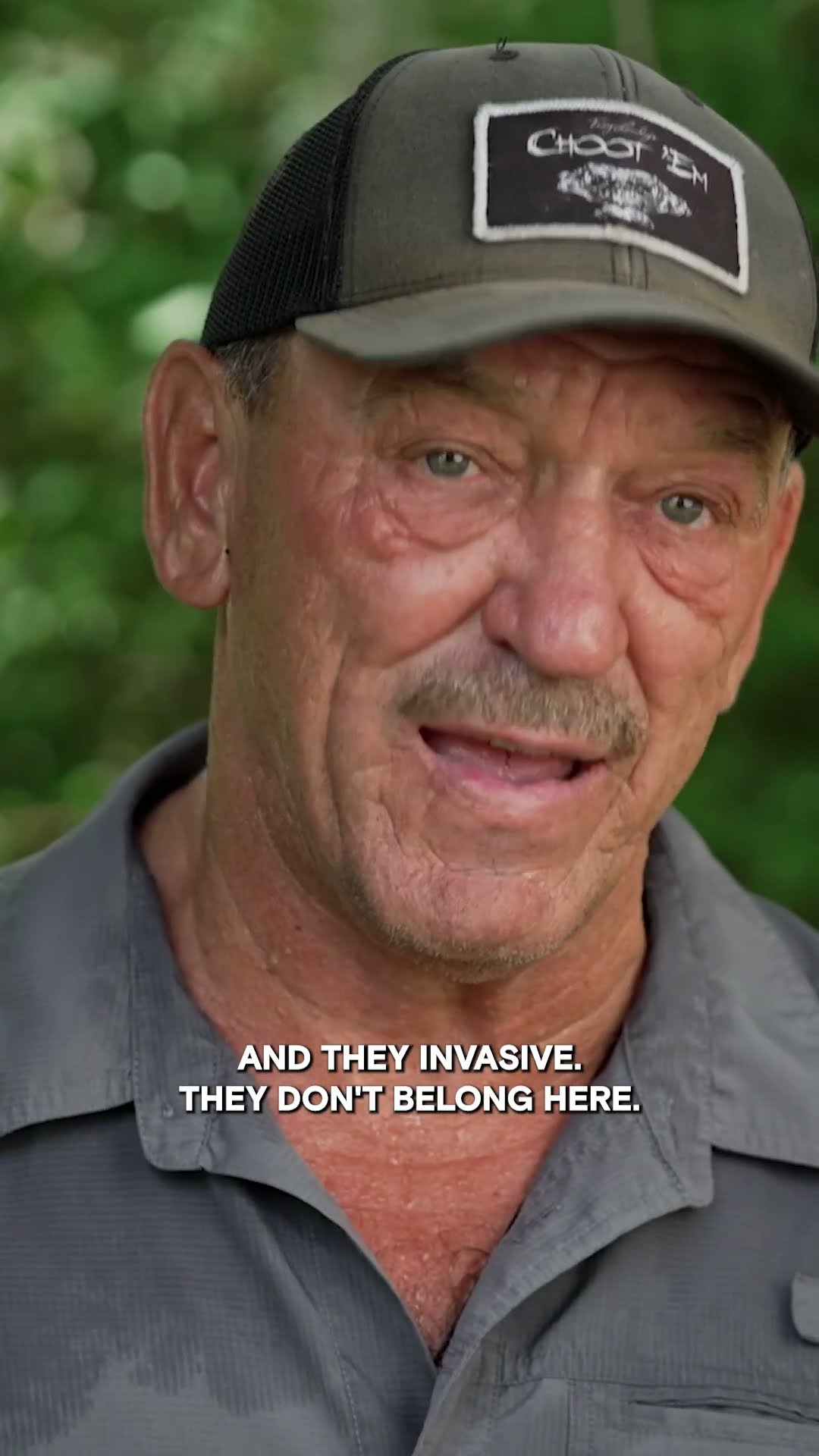 DESTRUCTIVE Invasive Carps | Swamp Mysteries | #Shorts