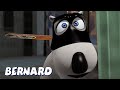 Бернард Медведь | Бернард Взломщик И НЕ ТОЛЬКО | Мультфильмы для детей | Полные эпизоды