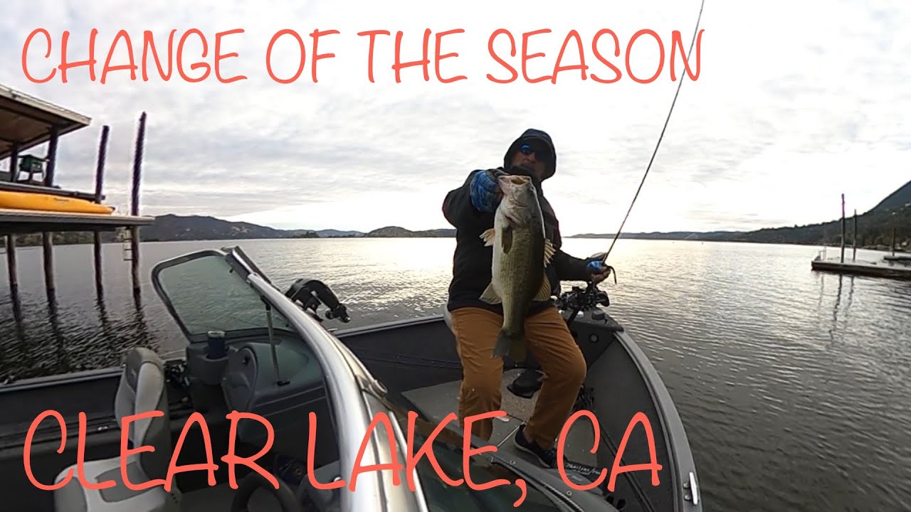 CHANGE OF THE SEASON, CLEAR LAKE, CA #bassfishing #clearlake #largemouthbass #largemouthbassfishing