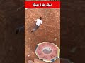 تحدي الصعود من داخل حفرة عميقة