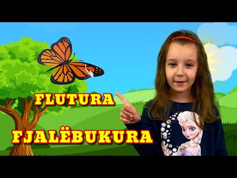 Video: Cila është Flutura E Famshme Monark