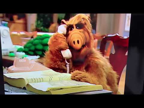 アルフ お得意の電話かけまくり 