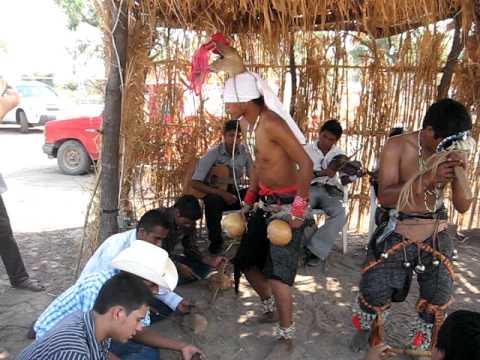 Danza del Venado y pascola jovenes de Potam Sonora.avi