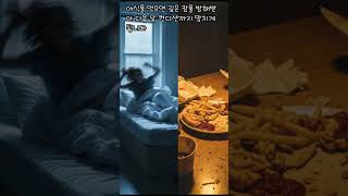 밤 10시 이후 절대 먹지 마세요? 진짜 이유는 칼로리가 아닙니다 #시간영양학#다이어트정보#생체시계#야식금지#건강상식#식사타이밍#BMAL1#신진대사#수면건강#바디프로필
