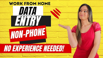 DATA ENTRY (Non-Phone) With No Experience Needed Work From Home Job 2022 | No Degree Required | USA