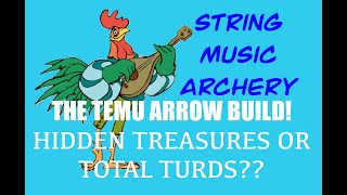 TEMU Arrows  - Treasures or TURDS ?!?!
