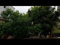شيرين مشاعر اللي دارى بابتسامة من عينيه مر المشاعر mp3
