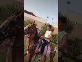Horse Riding I Omer A. Haider I Agriculture University Faisalabad I