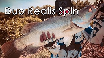 Câu Lure Cá Tráp Mà Bị Cá Chẽm Phá Mồi | Bream Fishing Open Season 2019 Ep.2