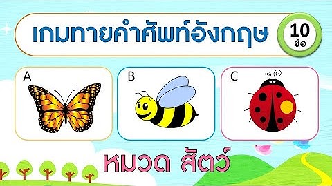 เกม ทายคำศัพท์ภาษาอังกฤษจากเสียง หมวดสัตว์ จำนวน 10 ข้อ | Learn and song