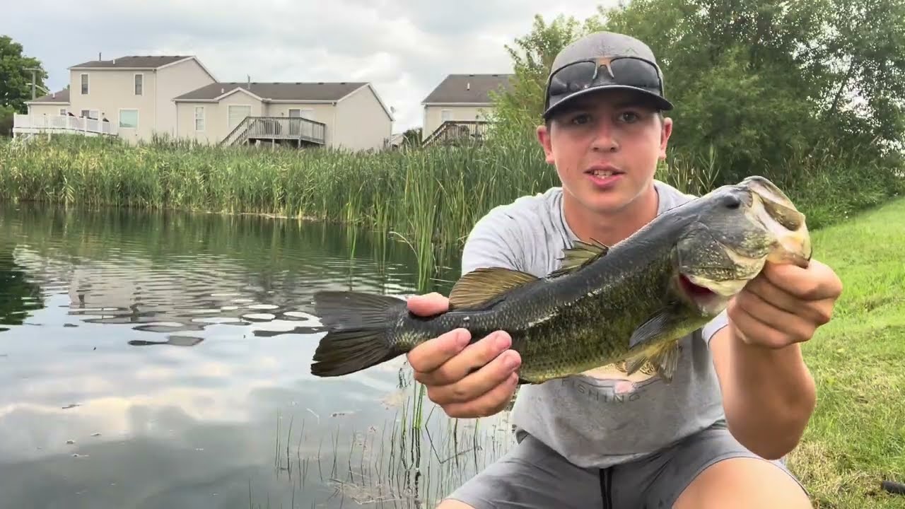 SIGHT fishing an ULTRA CLEAR pond for BIG BASS