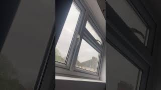 The Lord Said “Let there be light” and gave me some new curtains.