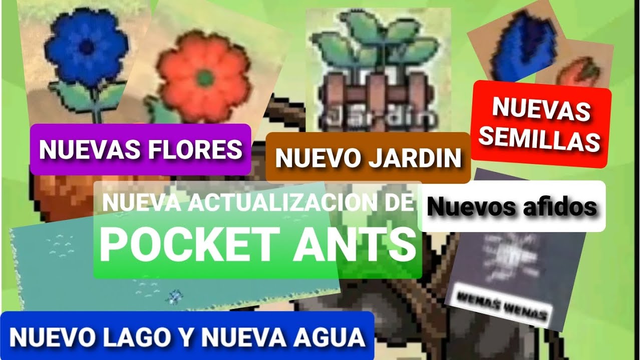 TENEMOS NUEVA ACTUALIZACION DE POCKET ANTS, nueva agua y lago, nuevo