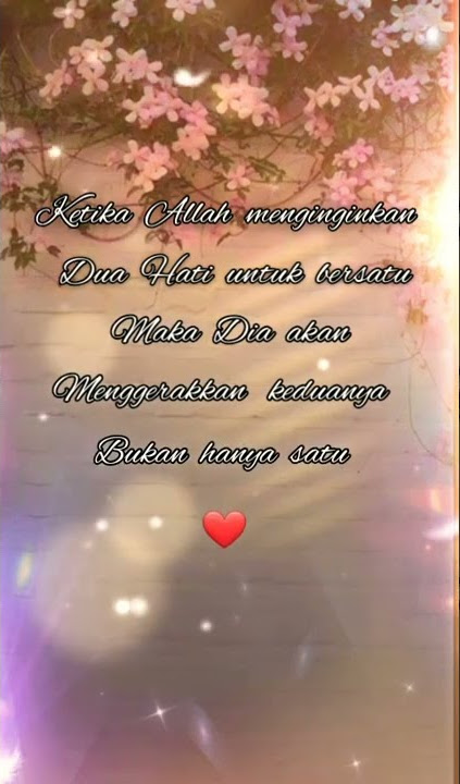 Story Wa #Bidadari Cinta#❤👫❤