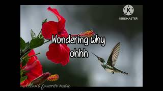 Youre all I need (lyrics) - White Lion