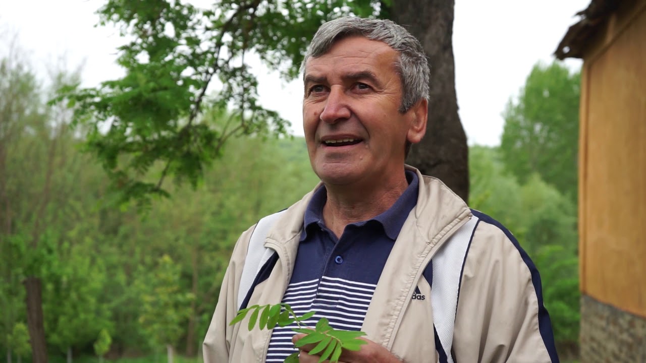 Autohtone vrste Srbije ep.13 16.05.2019. - Oskoruša - gajenje, prednosti, primena....