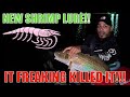 New shrimp lure at arroyo citytx awesome trout action