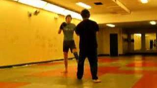 bad Muay Thai vs Wing Chun screenshot 5